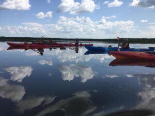 Netley Creek Tour
Join us for this unique 3 hour kayaking tour as we set out into the diverse offerings of the Netley-Libau Marsh which is considered the largest freshwater coastal wetland in North America. It is the ideal habitat for a variety of aquatic dependent birds and amphibians. Migrating birds find this place ideal for stopping over and many brooding female birds find this a perfect place for raising their young. There are also a great variety of fish species that are contained within these nutrient rich waters. Nature interpretation provided. Kayaking instruction provided.
Ideal for participants of all kayaking experience levels.
Tours this year run on June 6 and July 12.
See you on the water!